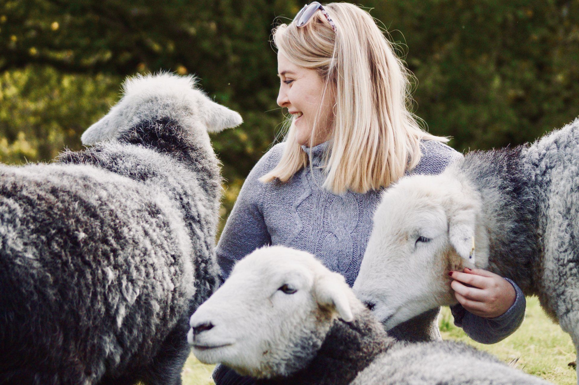 A happy woman among the sheep