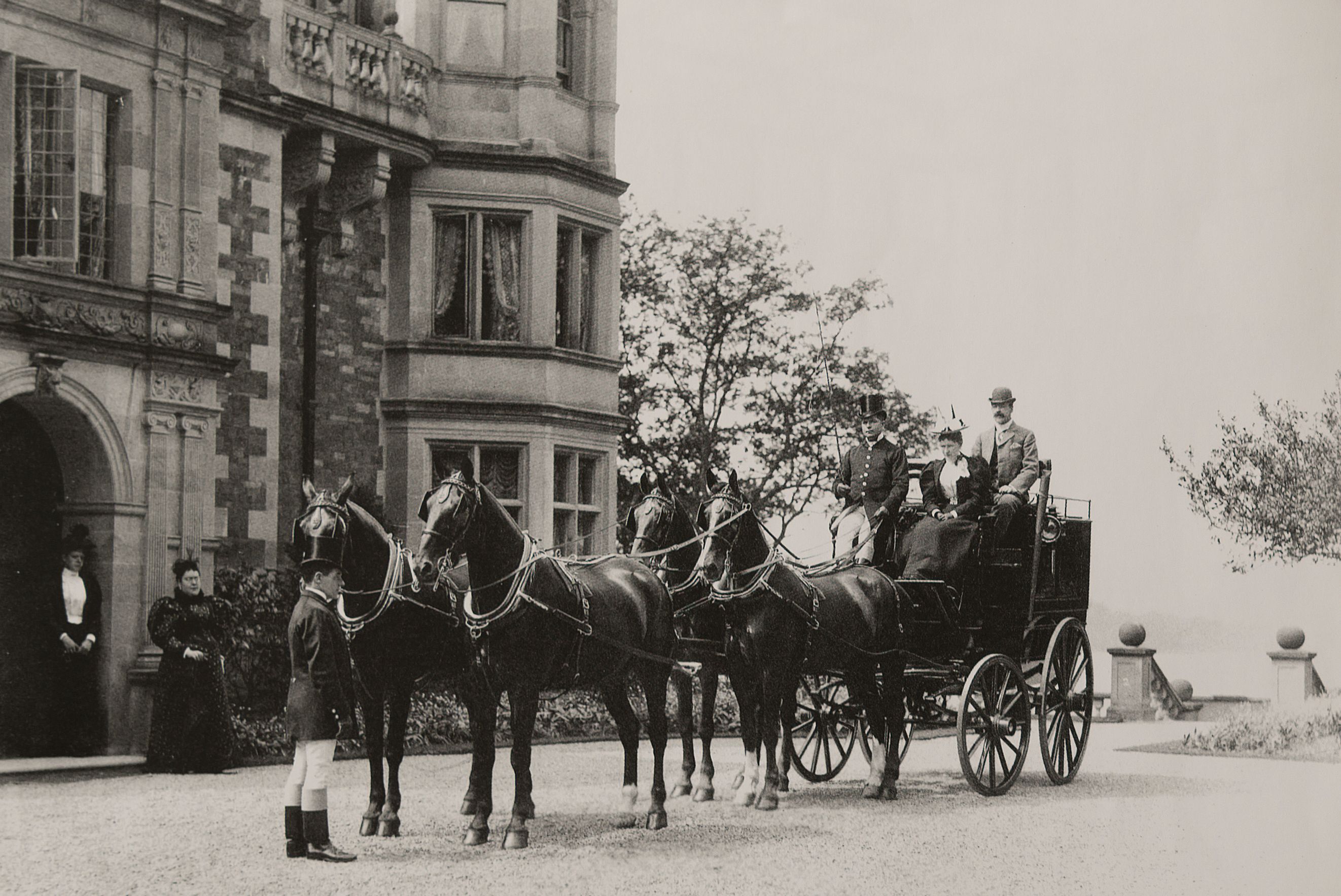 Horses outside the hotel entrance