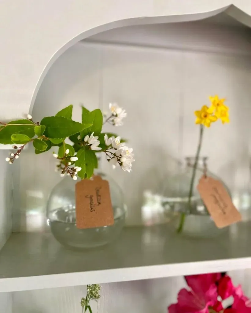 Close-up of the team's favourite plants at the Auricular Theatre.