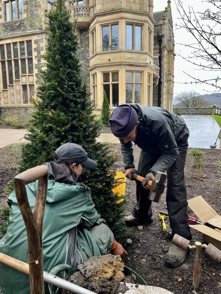 A man and woman secure a tree to the ground.