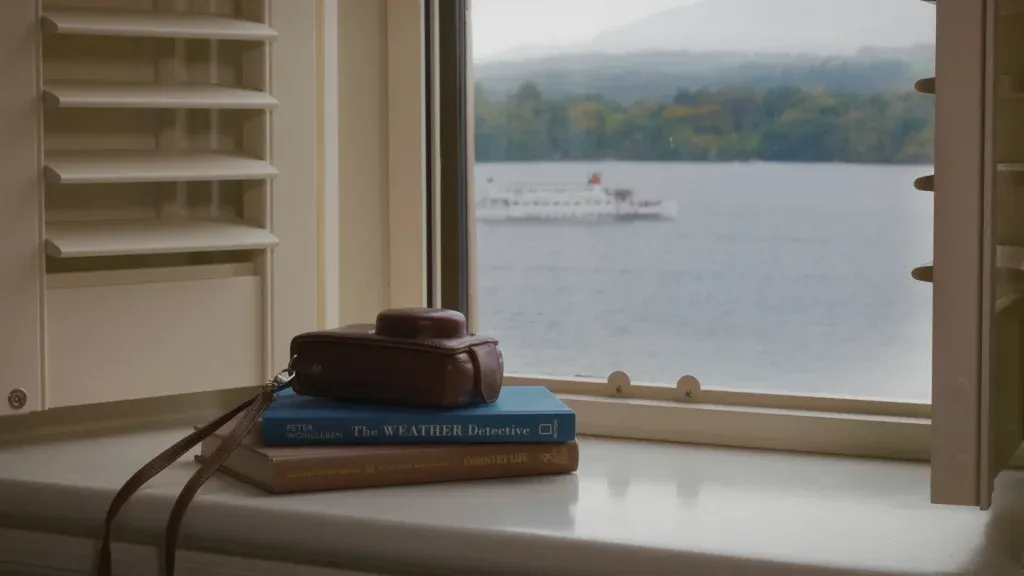 camera and books on a windowsill with a lake view