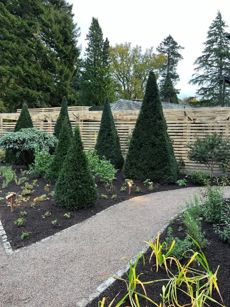 A variety of plants and trees along a path.